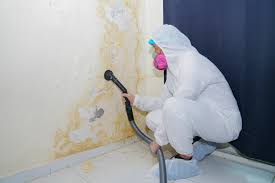 Best Mold Removal for HVAC Installations  in USA